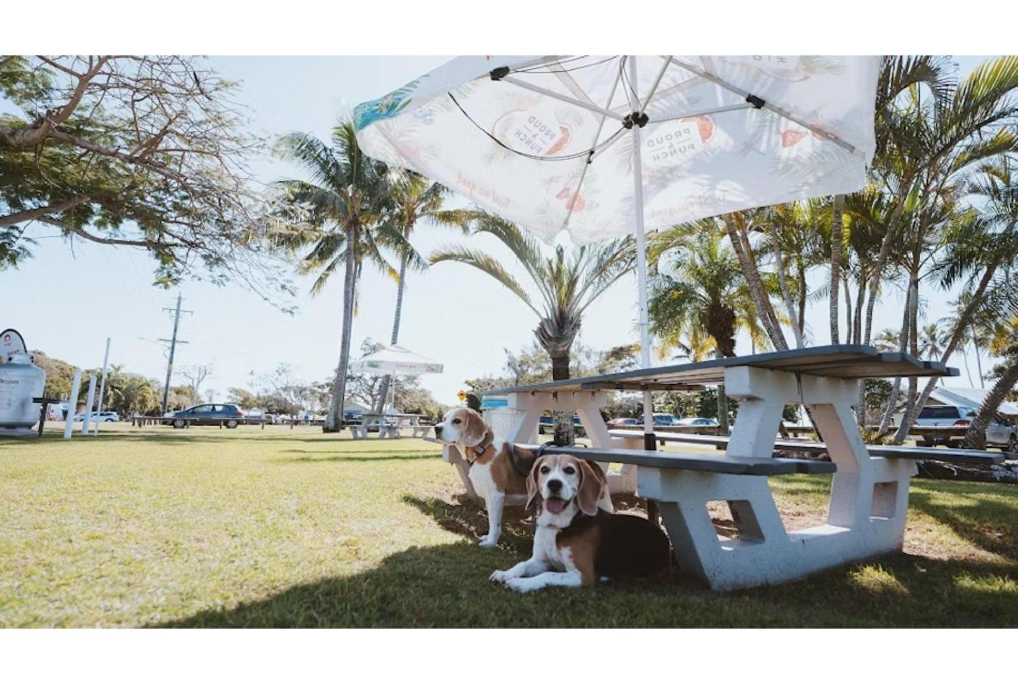Discovery Parks - Bargara Extérieur photo